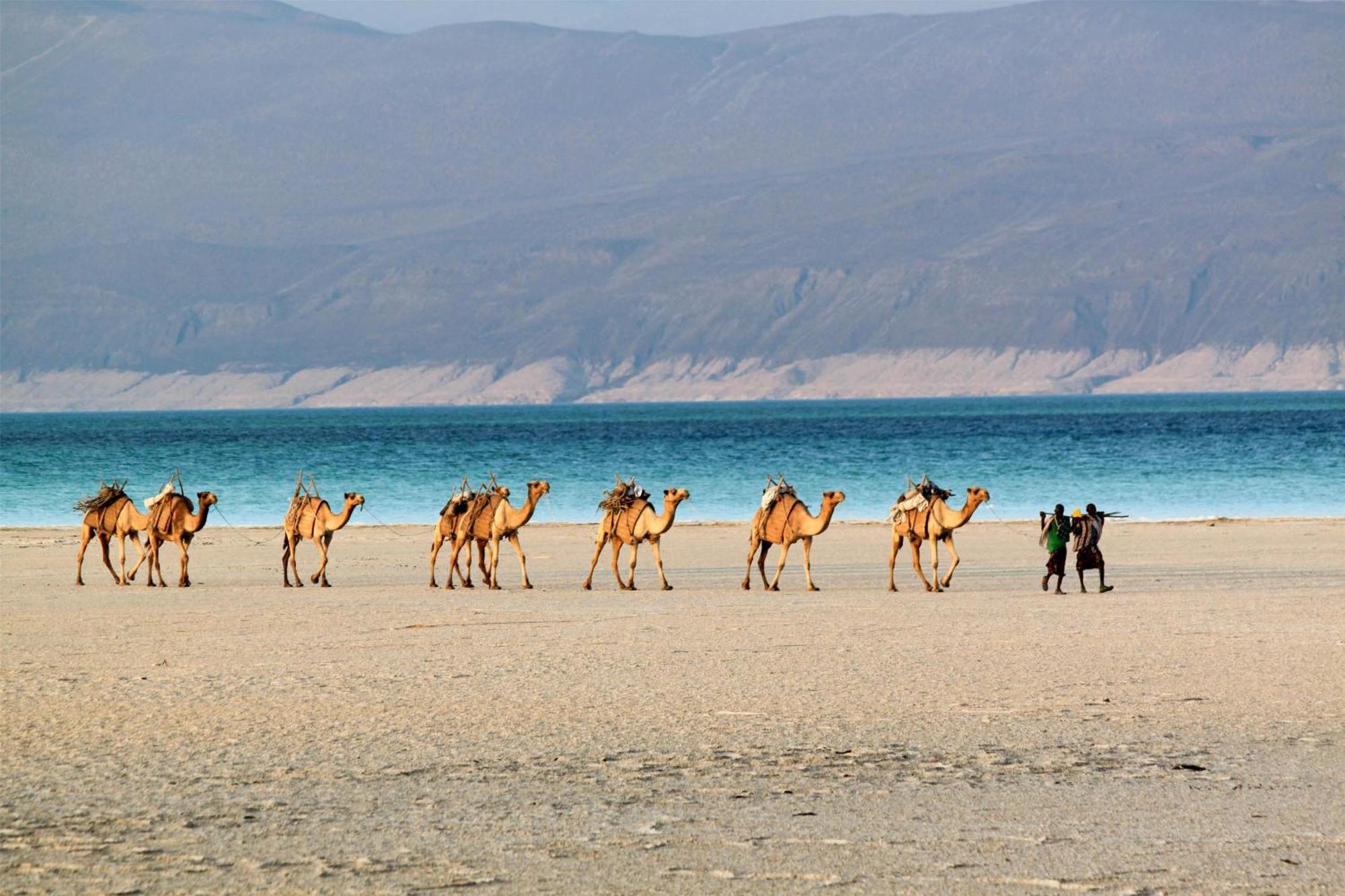 Djibouti Palace Kempinski Djibouti City Екстер'єр фото